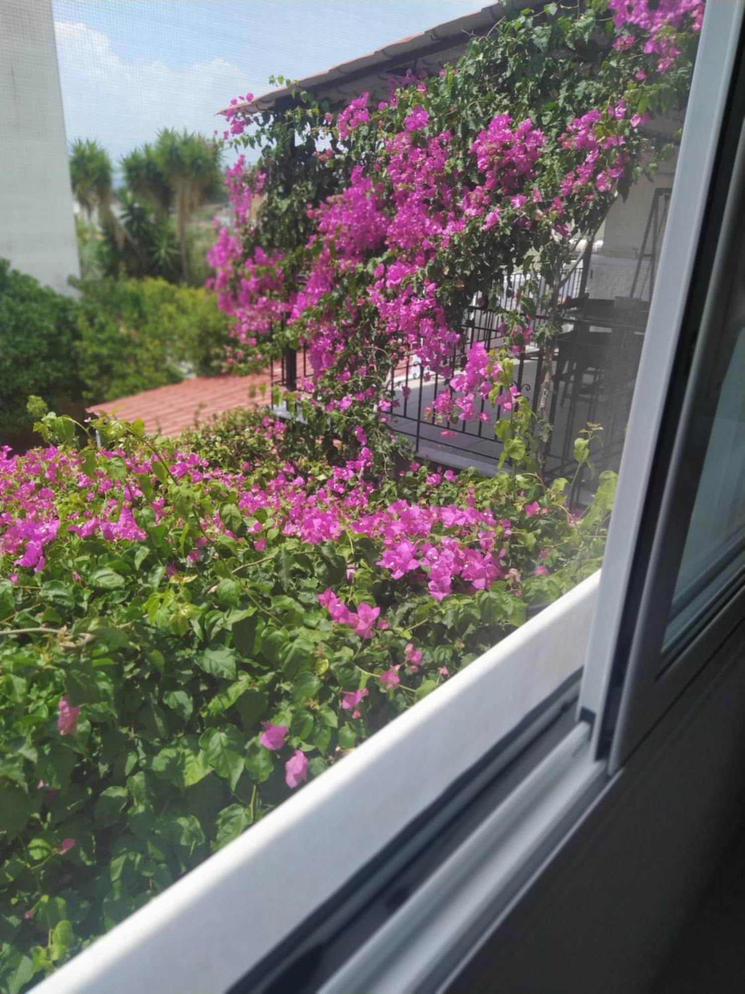 Kritharia Guesthouse Volos 外观 照片